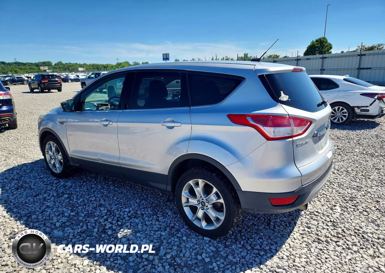 2013 Ford Escape VIN:1FMCU0H91DUC47915 - 2