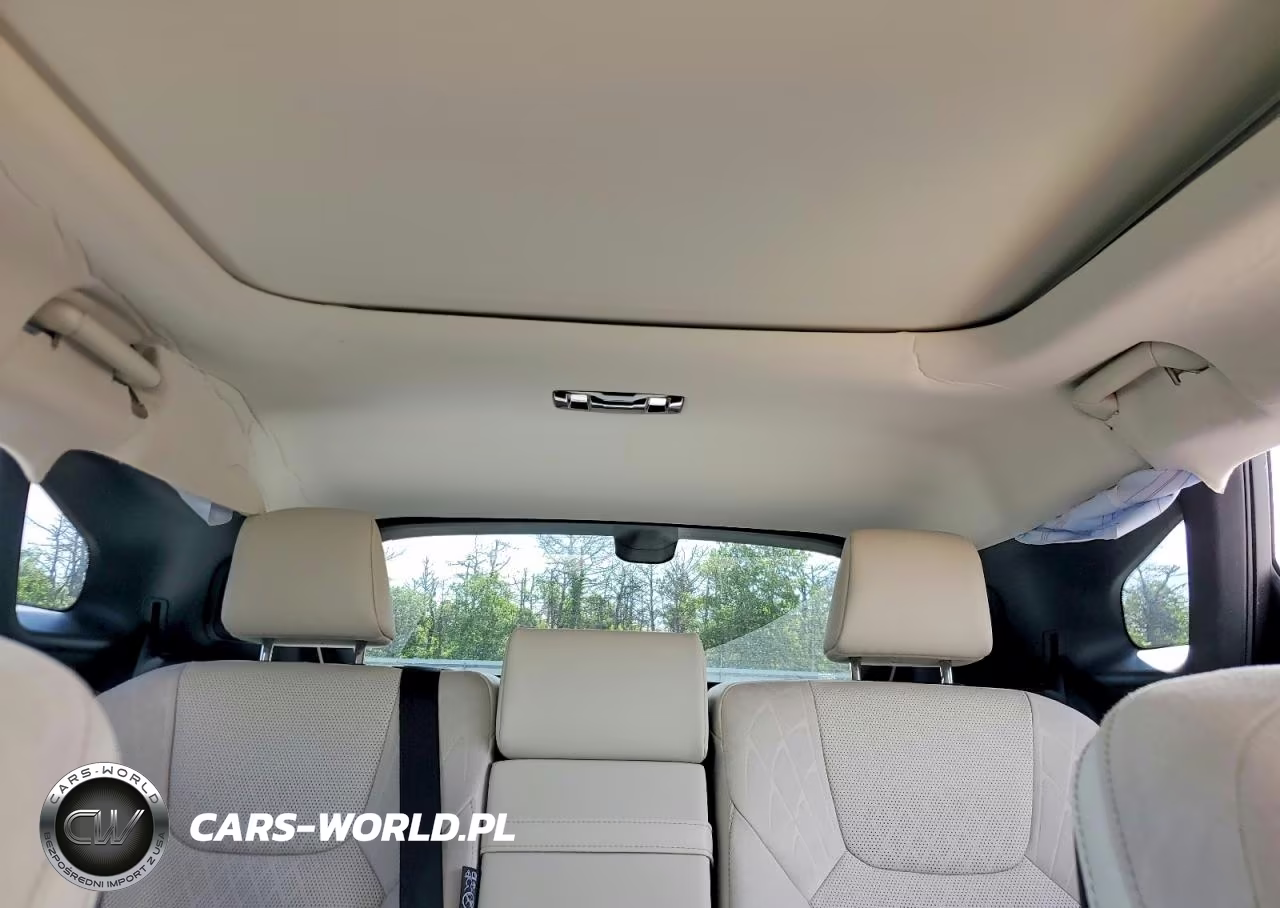 2024 Lexus Rx 450H+ Luxury VIN:JTJCJMGA2R2019762 - 10