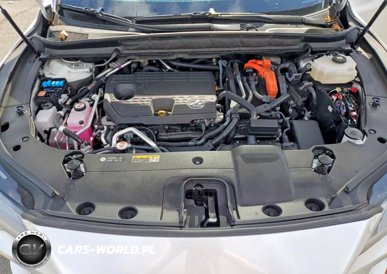 2024 Lexus Rx 450H+ Luxury VIN:JTJCJMGA2R2019762 - 12