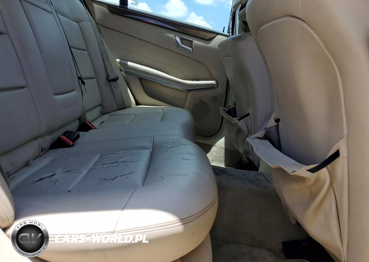 2014 Mercedes-Benz E 350 VIN:WDDHF5KB6EA796368 - 10