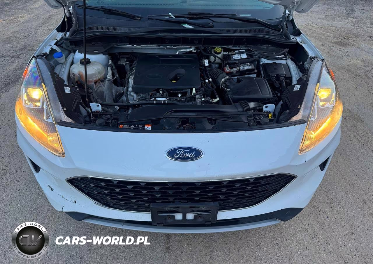 2020 Ford Escape Se VIN:1FMCU9G61LUC28078 - 7