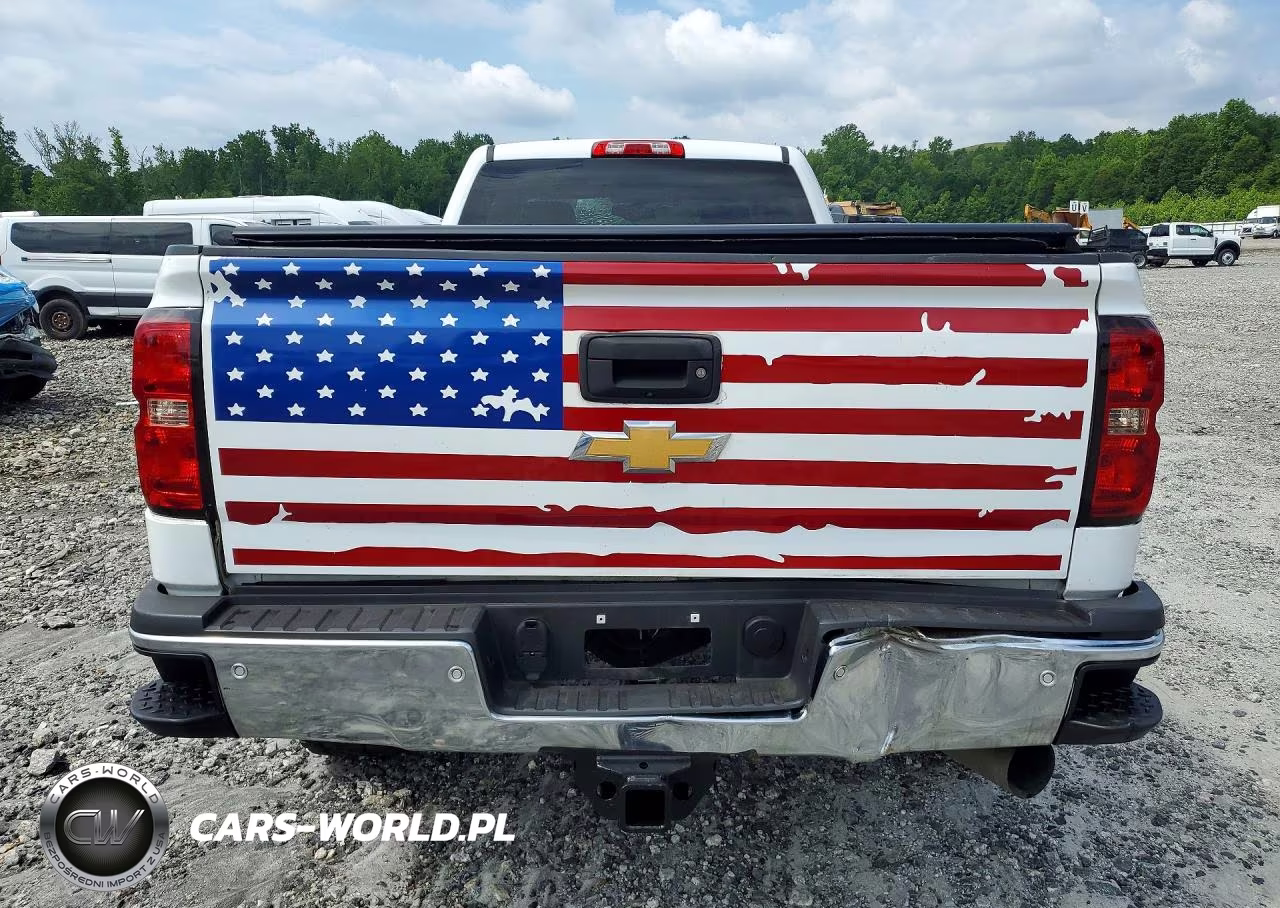 2018 Chevrolet Silverado 2500Hd Lt VIN:1GC2KVEY3JZ125943 - 6