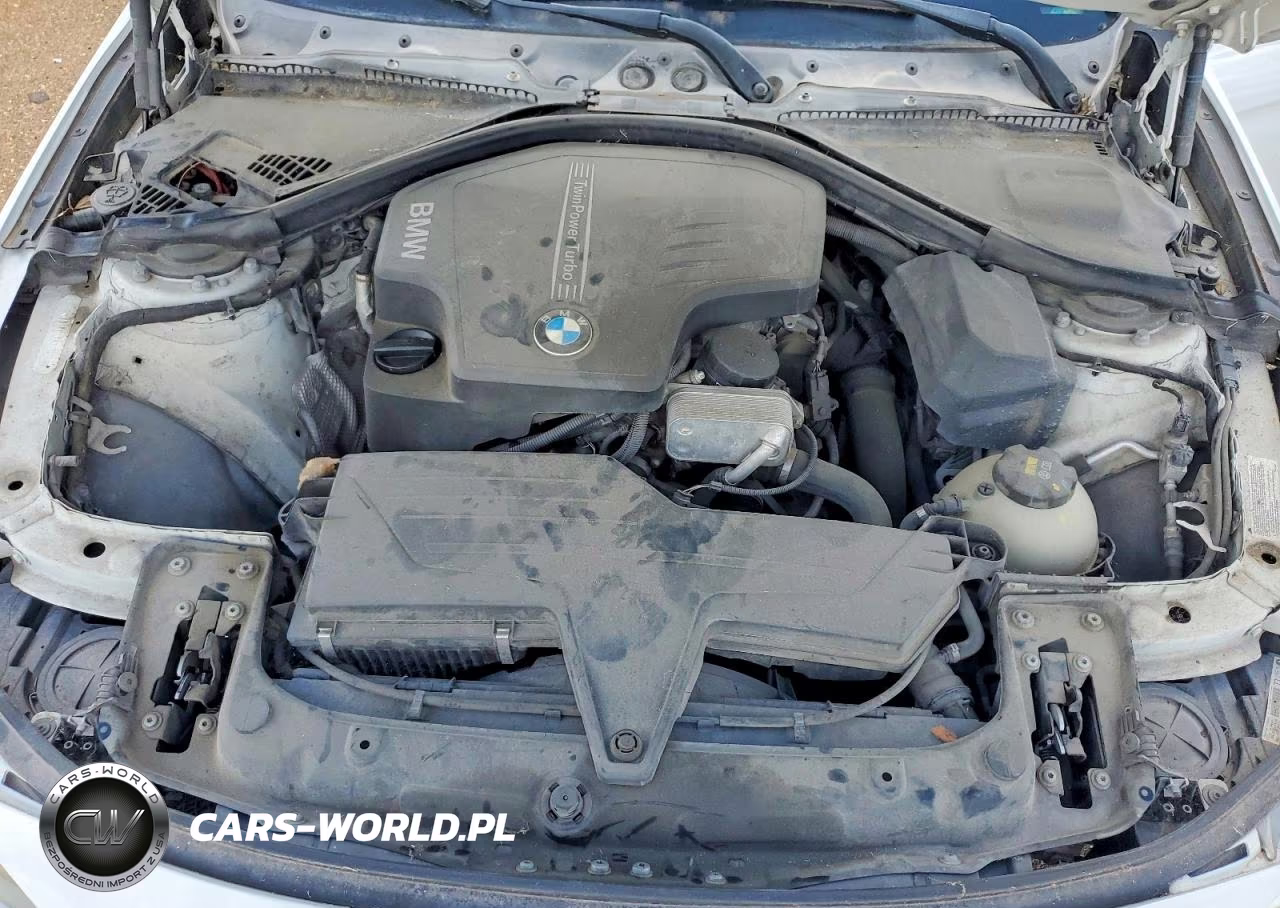 2015 BMW 320 I VIN:WBA3B1G51FNT07409 - 11