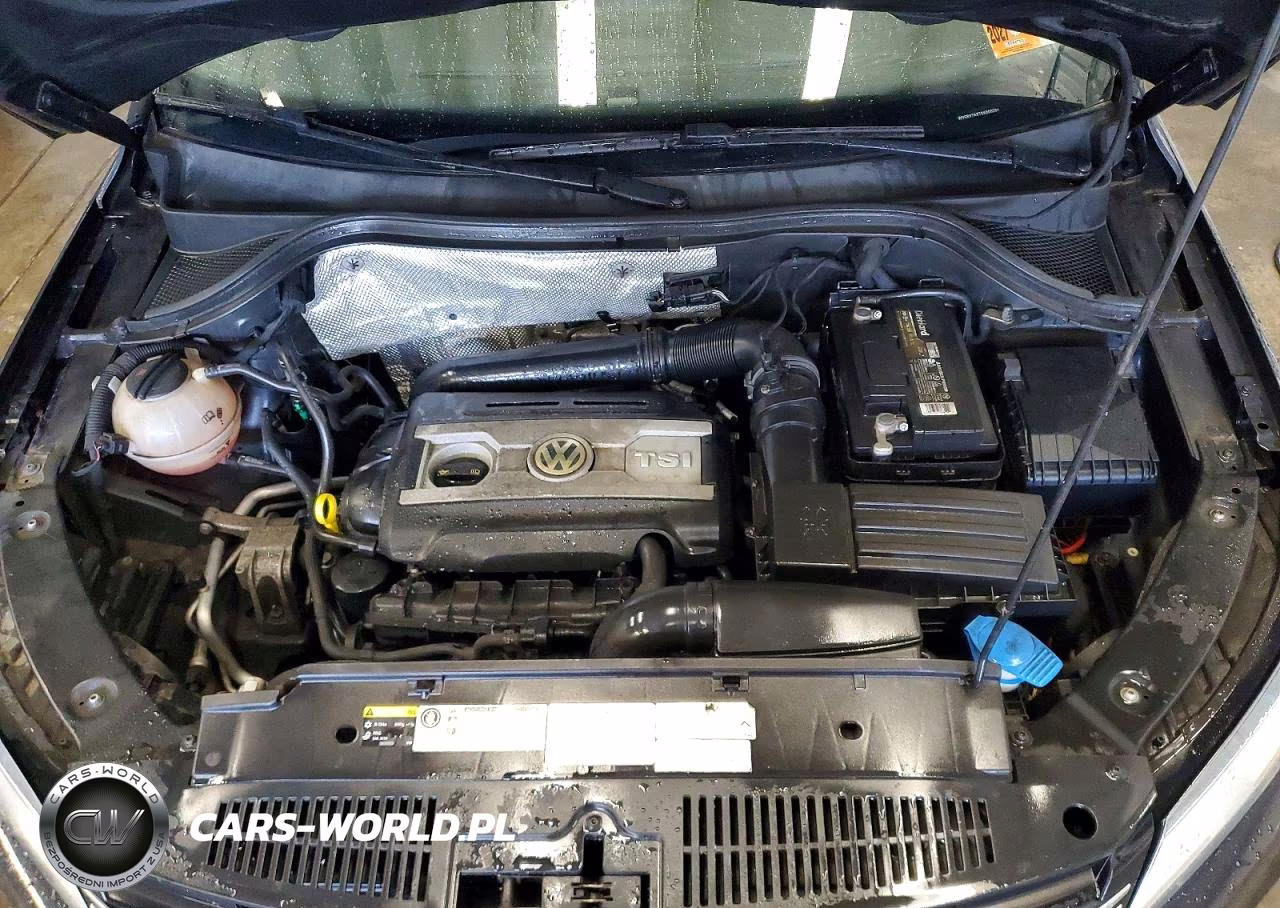 2016 Volkswagen Tiguan S VIN:WVGBV7AX7GK000294 - 12