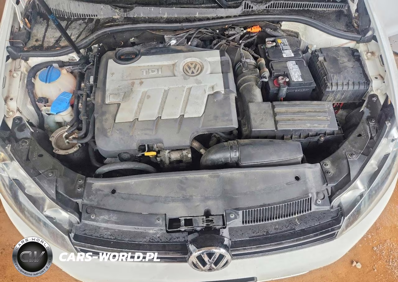 2014 Volkswagen Jetta Tdi VIN:3VWML7AJ0EM604464 - 11
