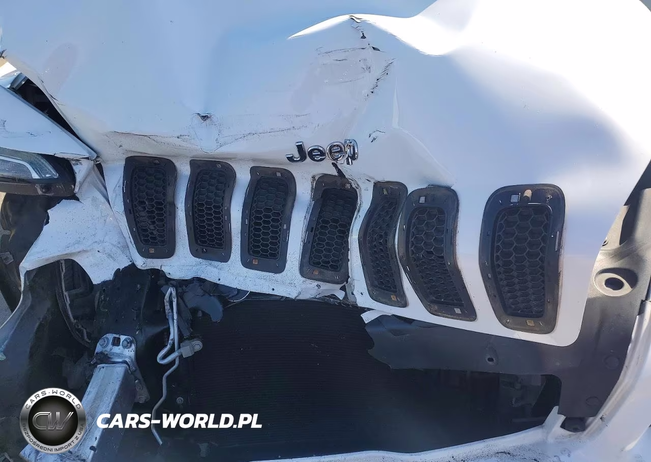 2014 Jeep Cherokee Sport VIN:1C4PJLAB9EW200957 - 11