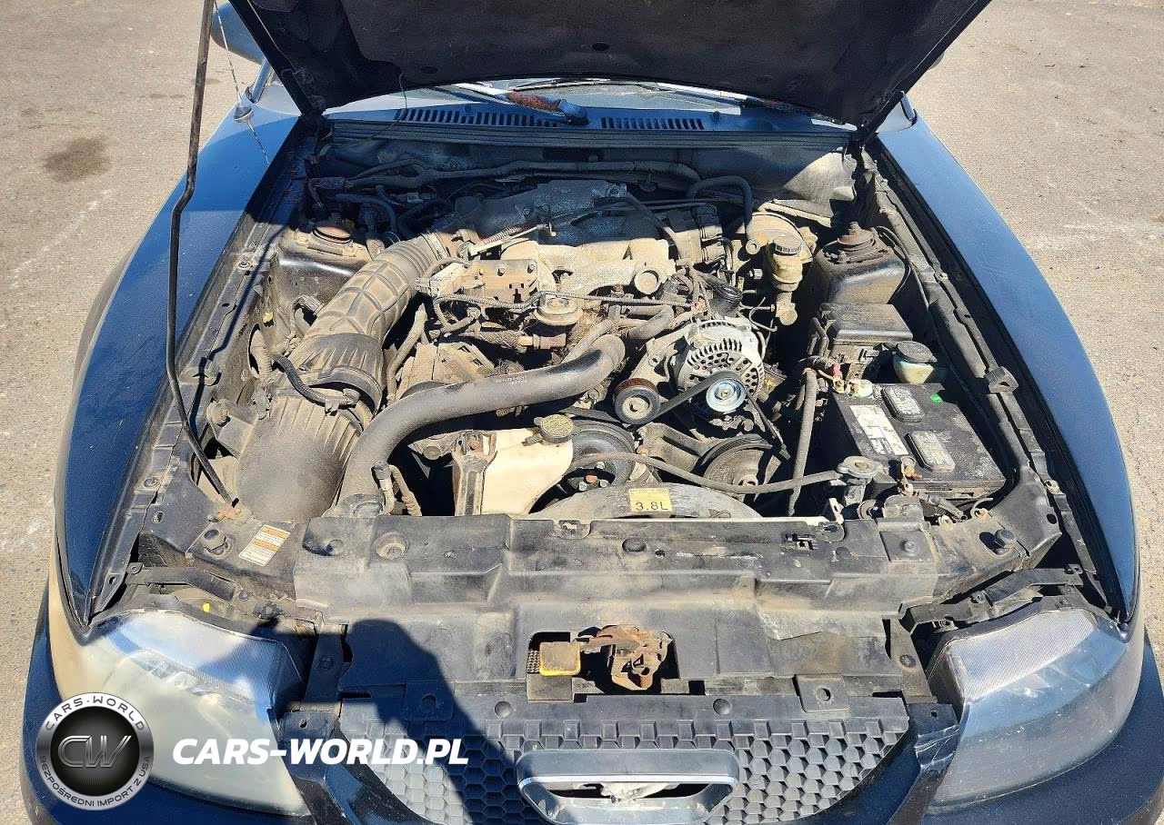 2000 Ford Mustang VIN:1FAFP4047YF123843 - 11
