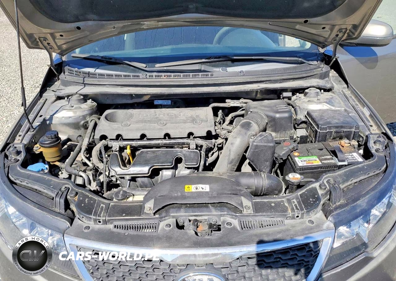2013 Kia Forte Ex VIN:KNAFU5A23D5656050 - 12