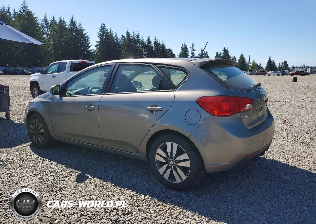2013 Kia Forte Ex VIN:KNAFU5A23D5656050 - 2
