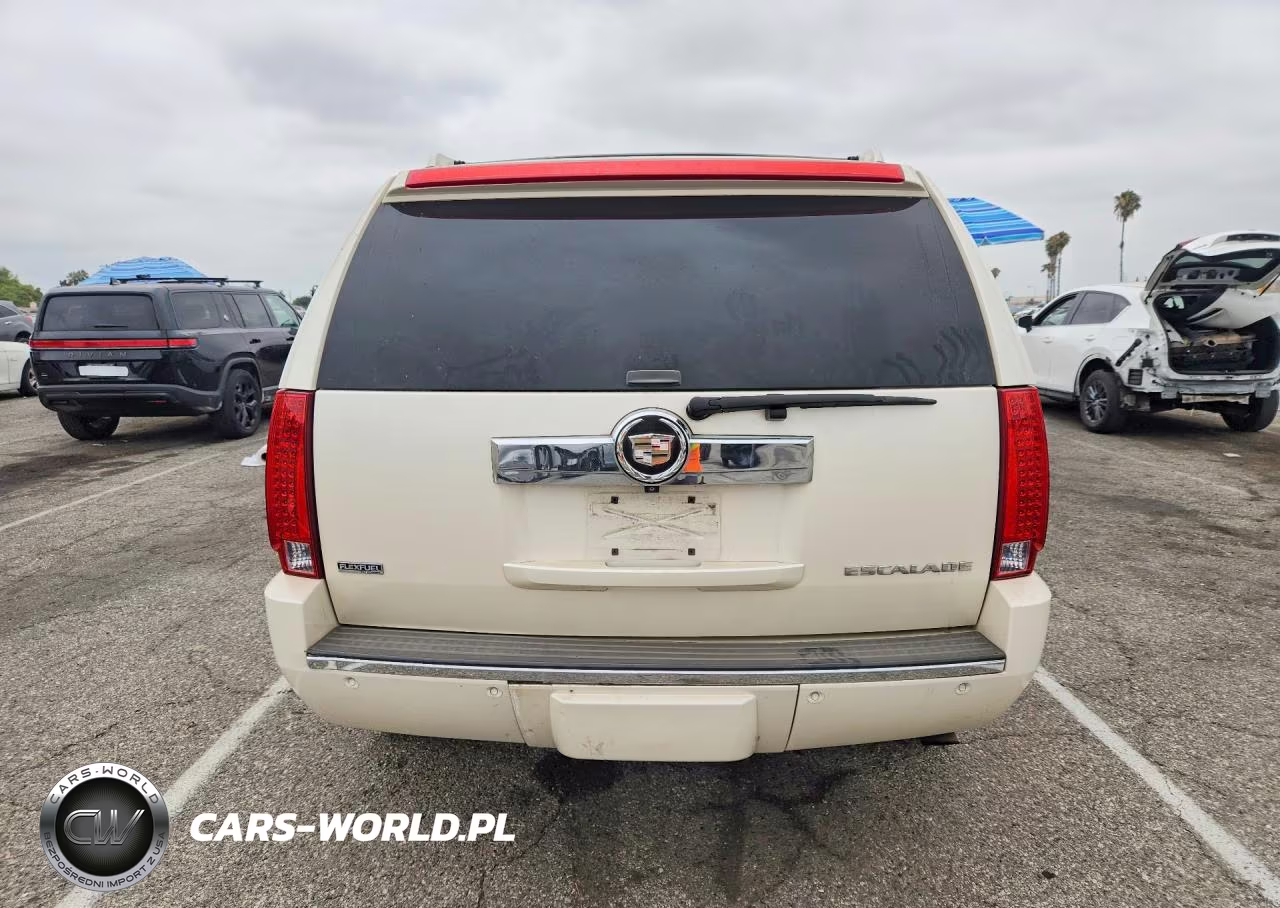 2009 Cadillac Escalade VIN:1GYFC13239R222281 - 6