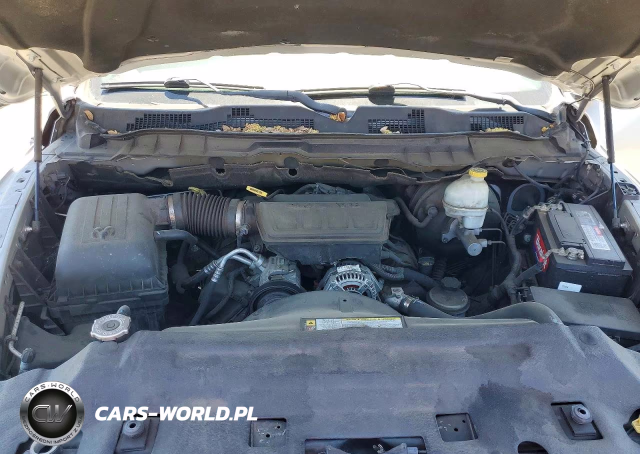 2010 Dodge Ram 1500 VIN:1D7RB1GP2AS105158 - 11