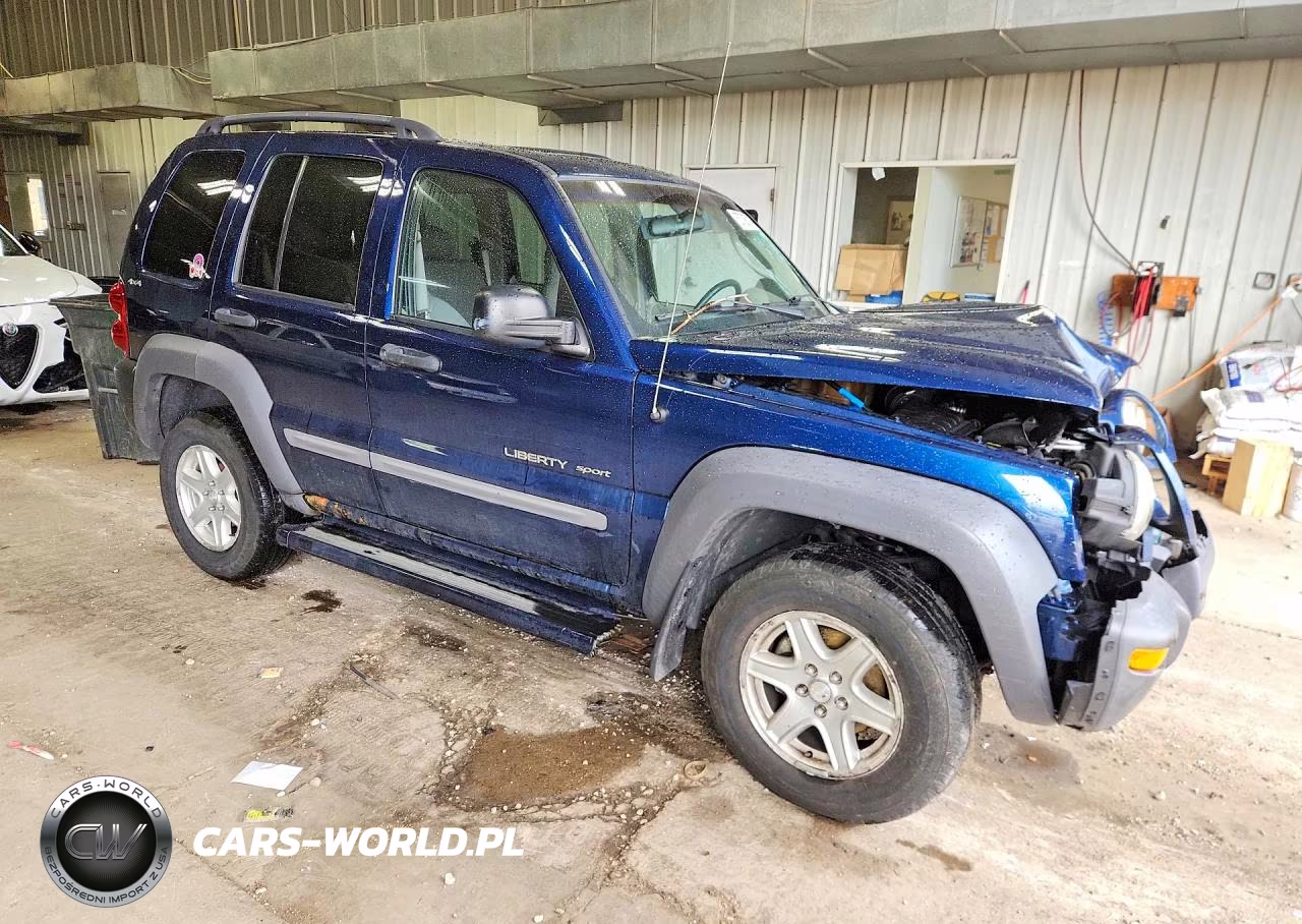 2002 Jeep Liberty Sport VIN:1J4GL48KX2W202454 - 4