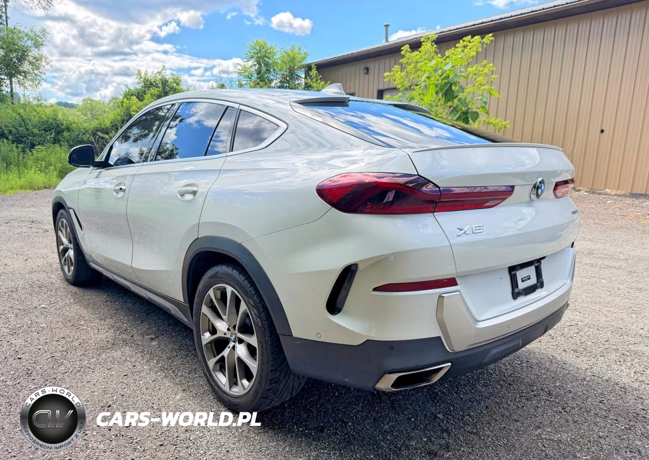 2020 BMW X6 xDrive40I VIN:5UXCY6C0XL9D21128 - 3