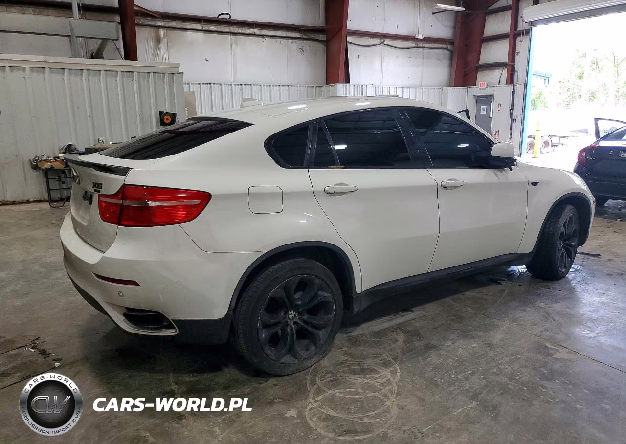 2011 BMW X6 xDrive50I VIN:5UXFG8C56BLZ96304 - 3