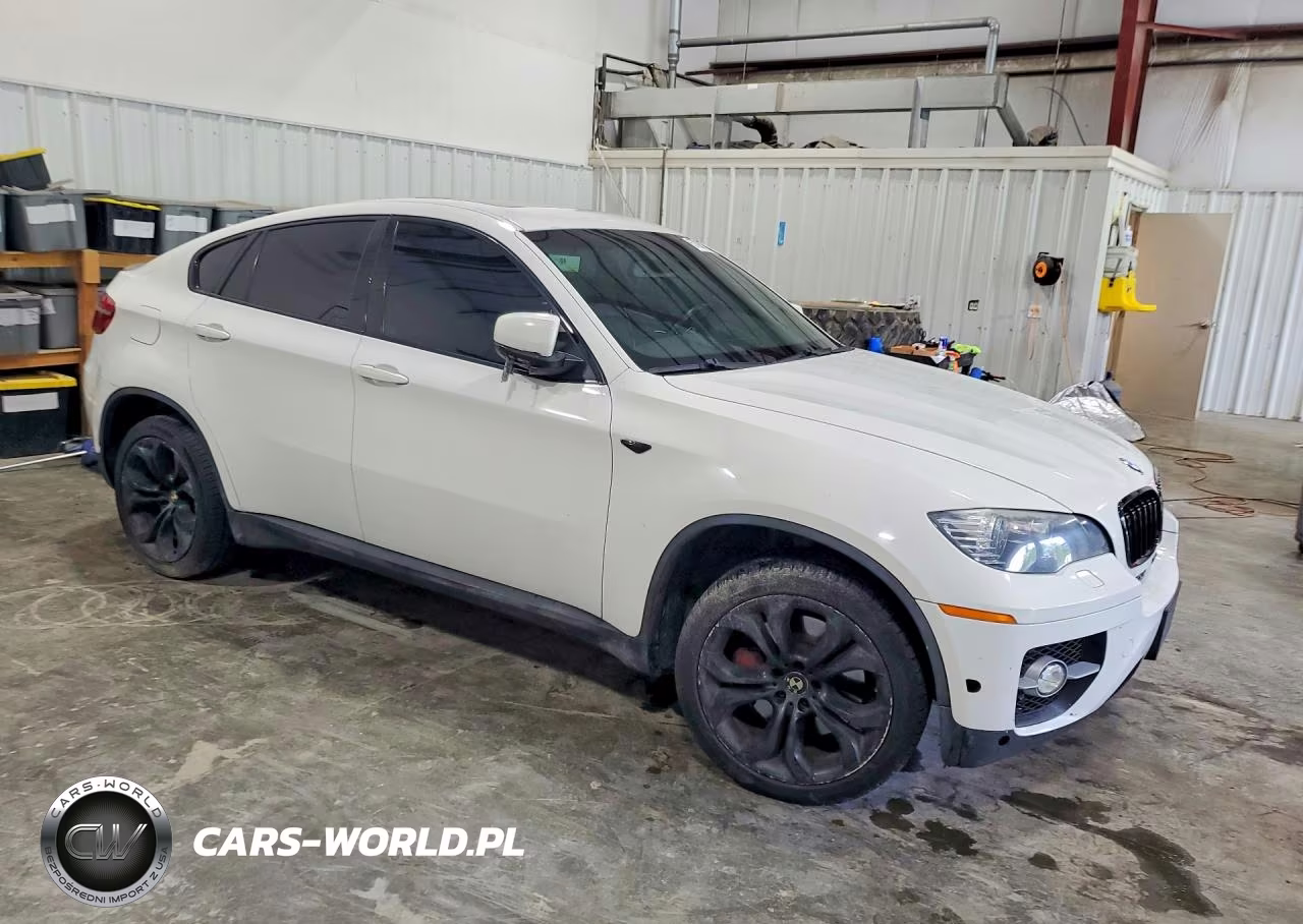 2011 BMW X6 xDrive50I VIN:5UXFG8C56BLZ96304 - 4