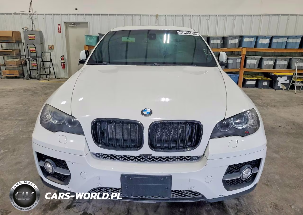 2011 BMW X6 xDrive50I VIN:5UXFG8C56BLZ96304 - 5