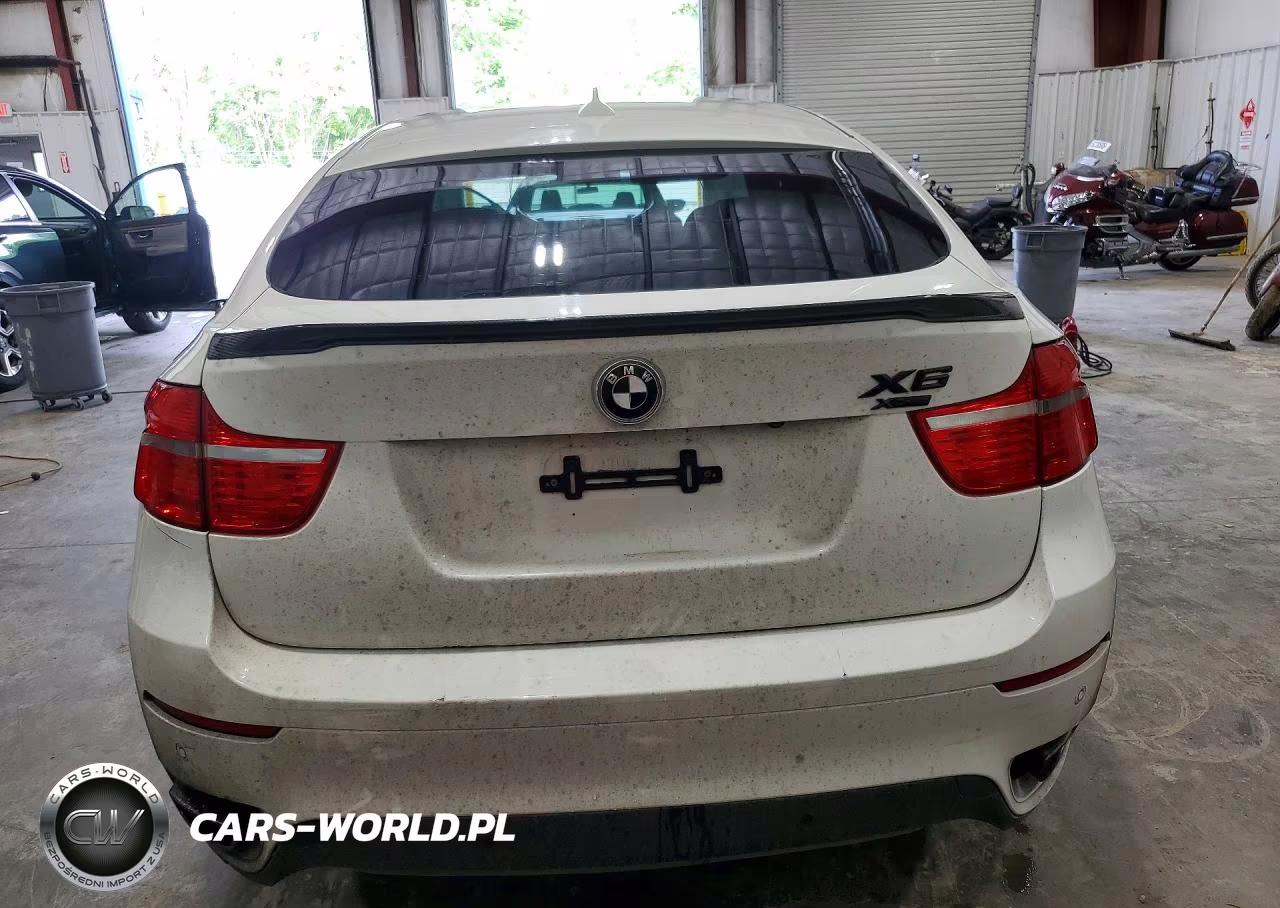 2011 BMW X6 xDrive50I VIN:5UXFG8C56BLZ96304 - 6