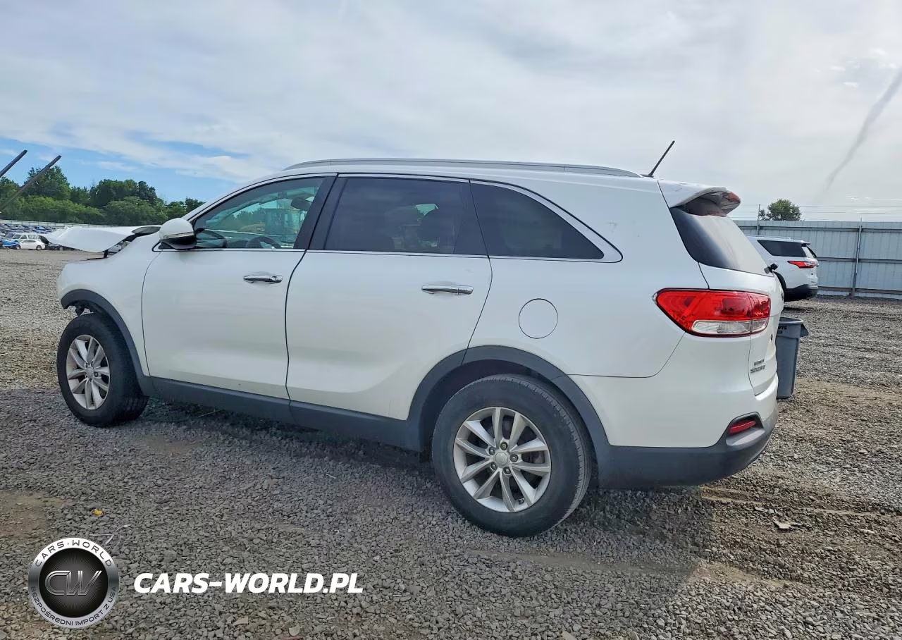 2017 Kia Sorento Lx VIN:5XYPG4A36HG290681 - 2