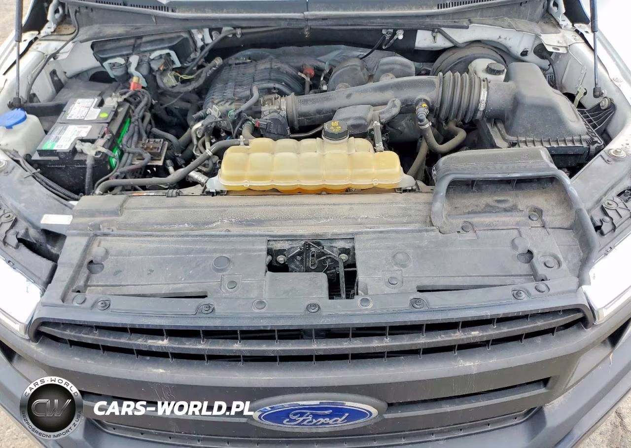 2019 Ford F150 Xl VIN:1FTEX1CB0KKE70654 - 11