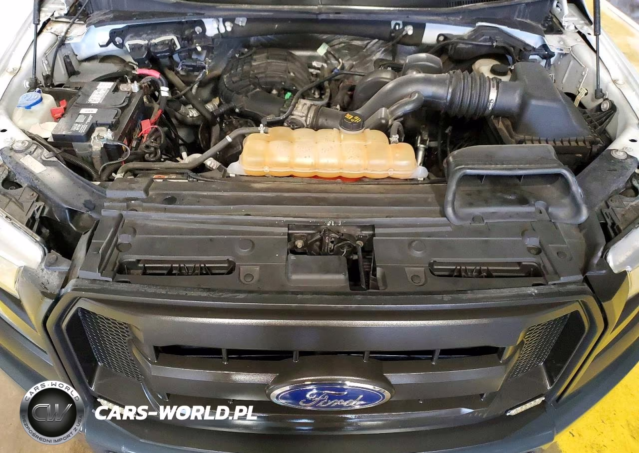 2015 Ford F150 VIN:1FTMF1E80FFB25865 - 11
