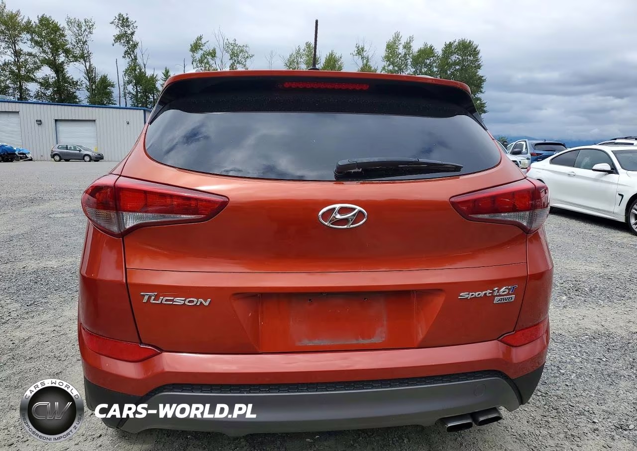 2016 Hyundai Tucson Sport VIN:KM8J3CA21GU077326 - 6