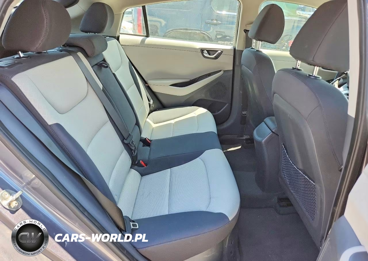 2019 Hyundai Ioniq Sel VIN:KMHC75LC0KU132338 - 10