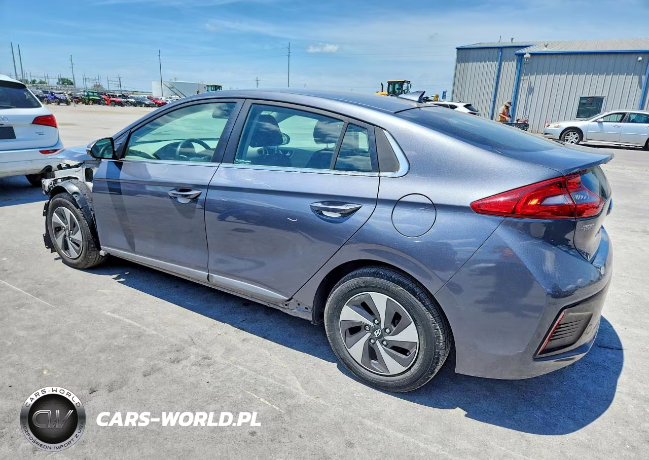 2019 Hyundai Ioniq Sel VIN:KMHC75LC0KU132338 - 2
