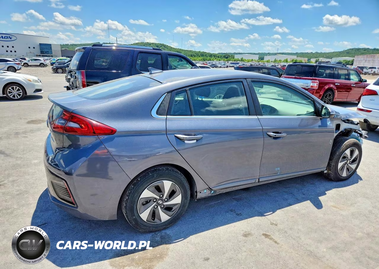 2019 Hyundai Ioniq Sel VIN:KMHC75LC0KU132338 - 3