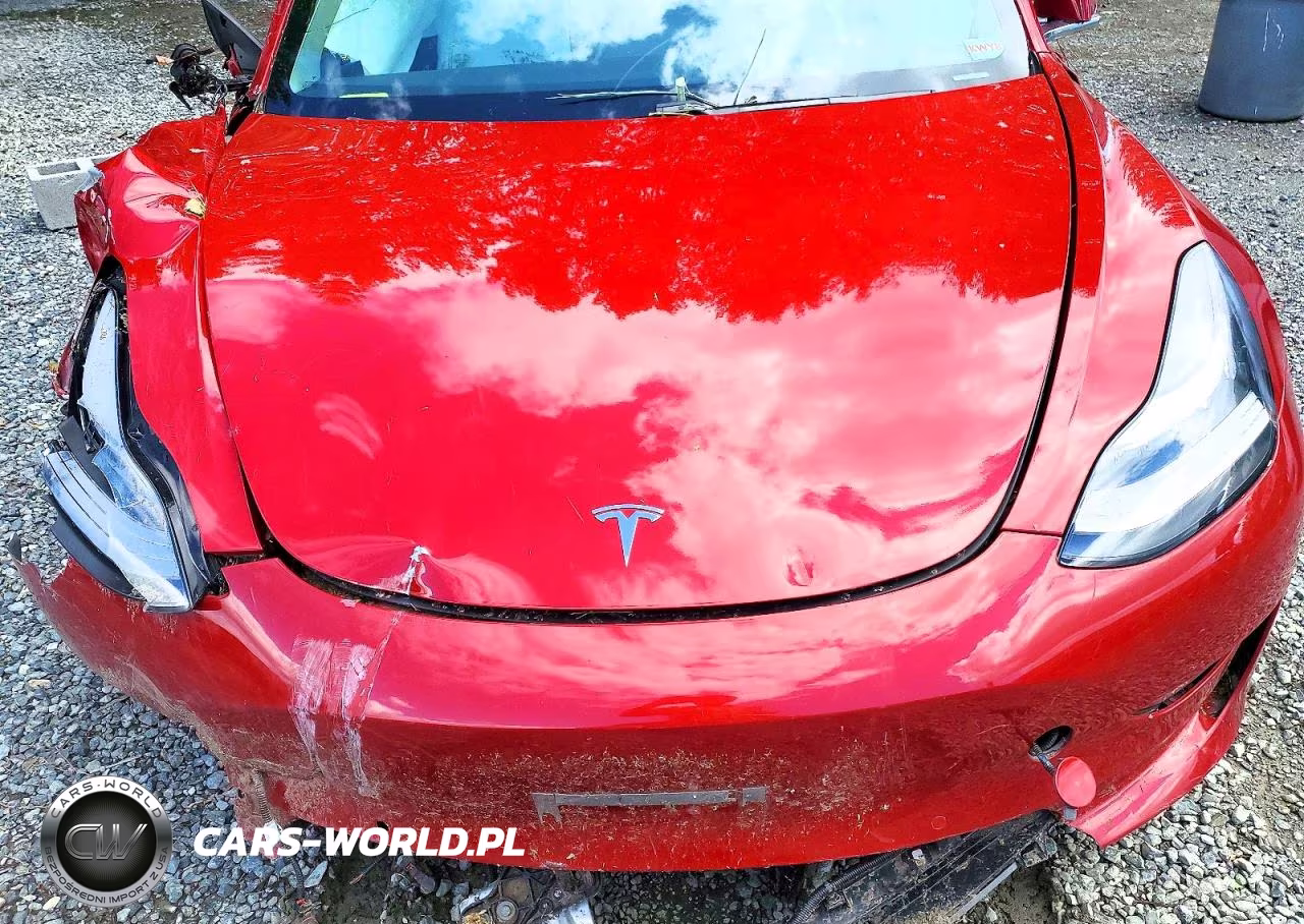 2019 Tesla Model 3 VIN:5YJ3E1EA7KF526541 - 11
