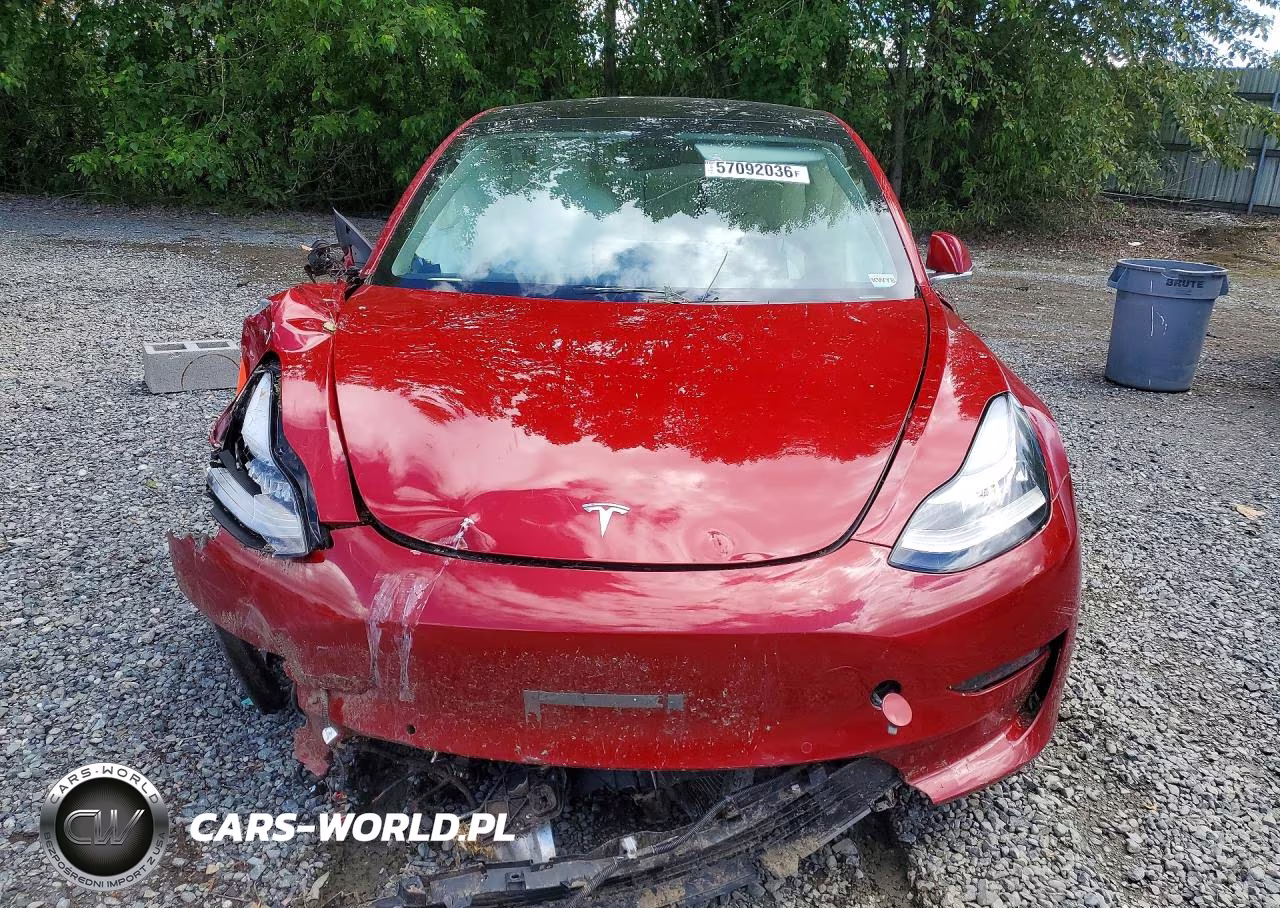 2019 Tesla Model 3 VIN:5YJ3E1EA7KF526541 - 5