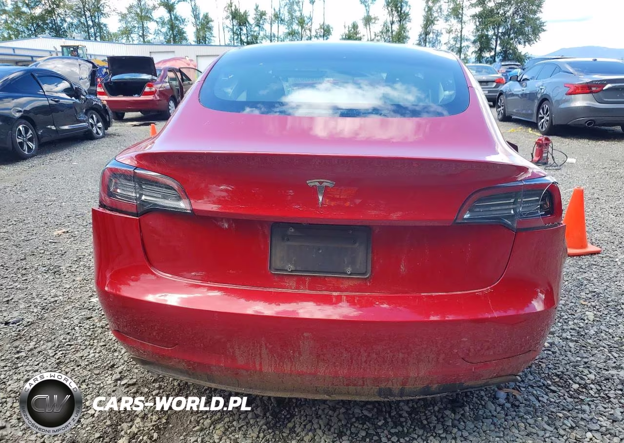 2019 Tesla Model 3 VIN:5YJ3E1EA7KF526541 - 6