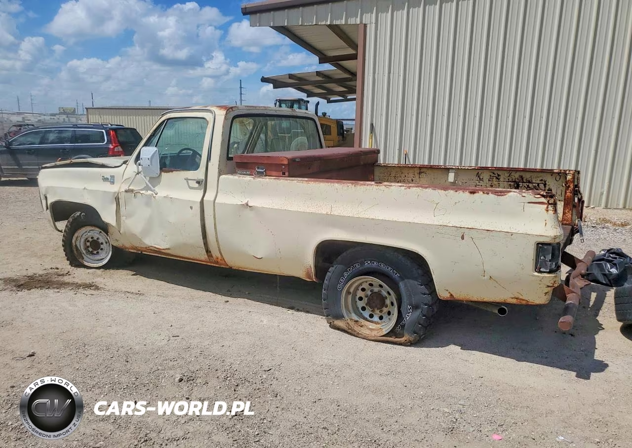 1979 Chevrolet C-K 10 Series VIN:TCL249A519427 - 2