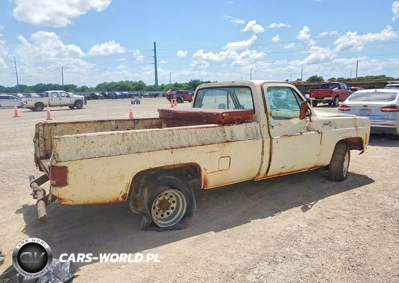 1979 Chevrolet C-K 10 Series VIN:TCL249A519427 - 3