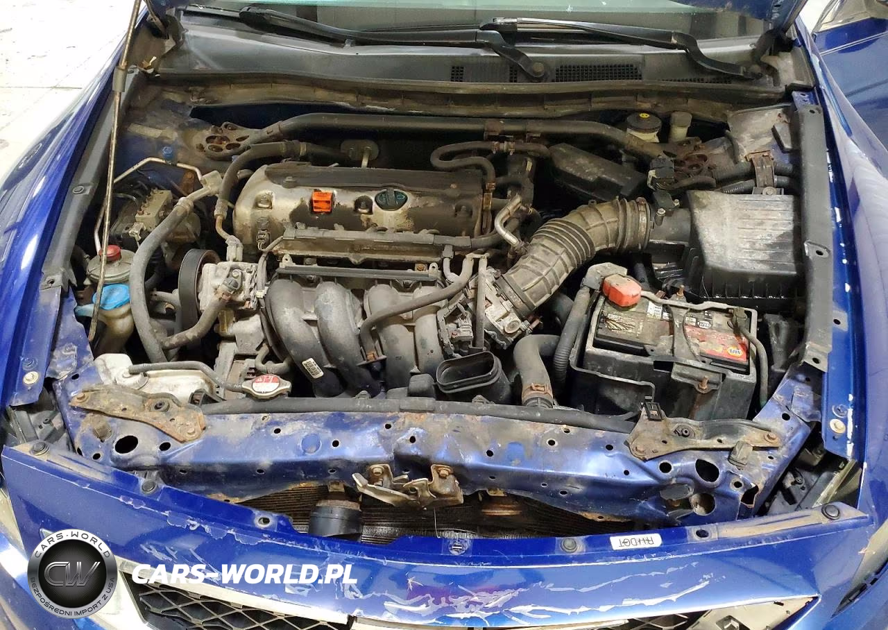 2010 Honda Accord Lx VIN:1HGCS1A39AA017317 - 11