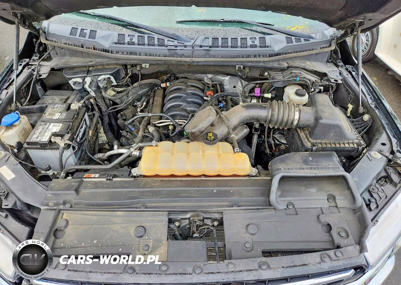 2019 Ford F150 Supercrew VIN:1FTEW1E5XKFA19217 - 11