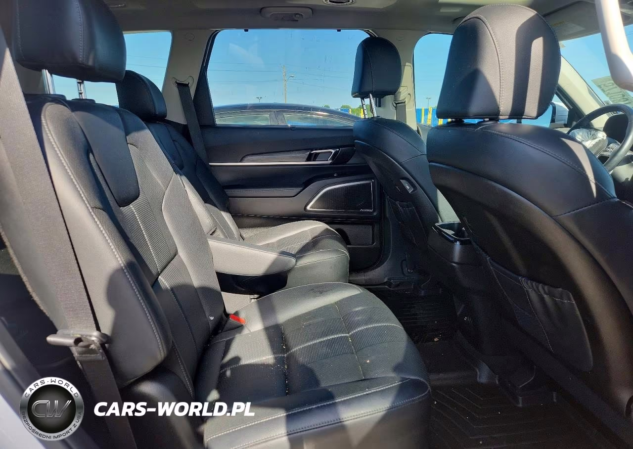 2022 Kia Telluride Sx VIN:5XYP5DHC1NG312027 - 11