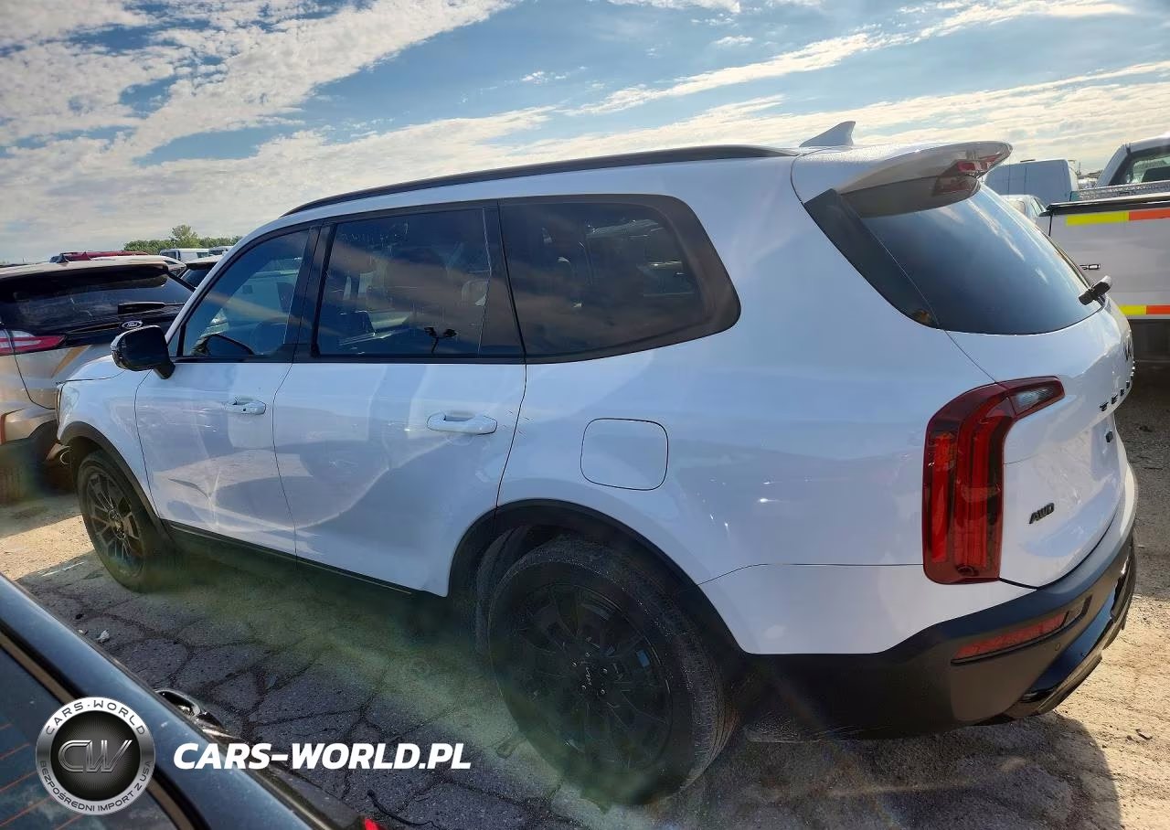 2022 Kia Telluride Sx VIN:5XYP5DHC1NG312027 - 2