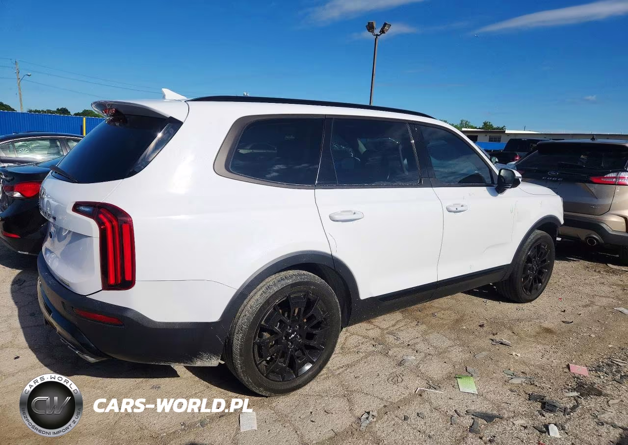 2022 Kia Telluride Sx VIN:5XYP5DHC1NG312027 - 3