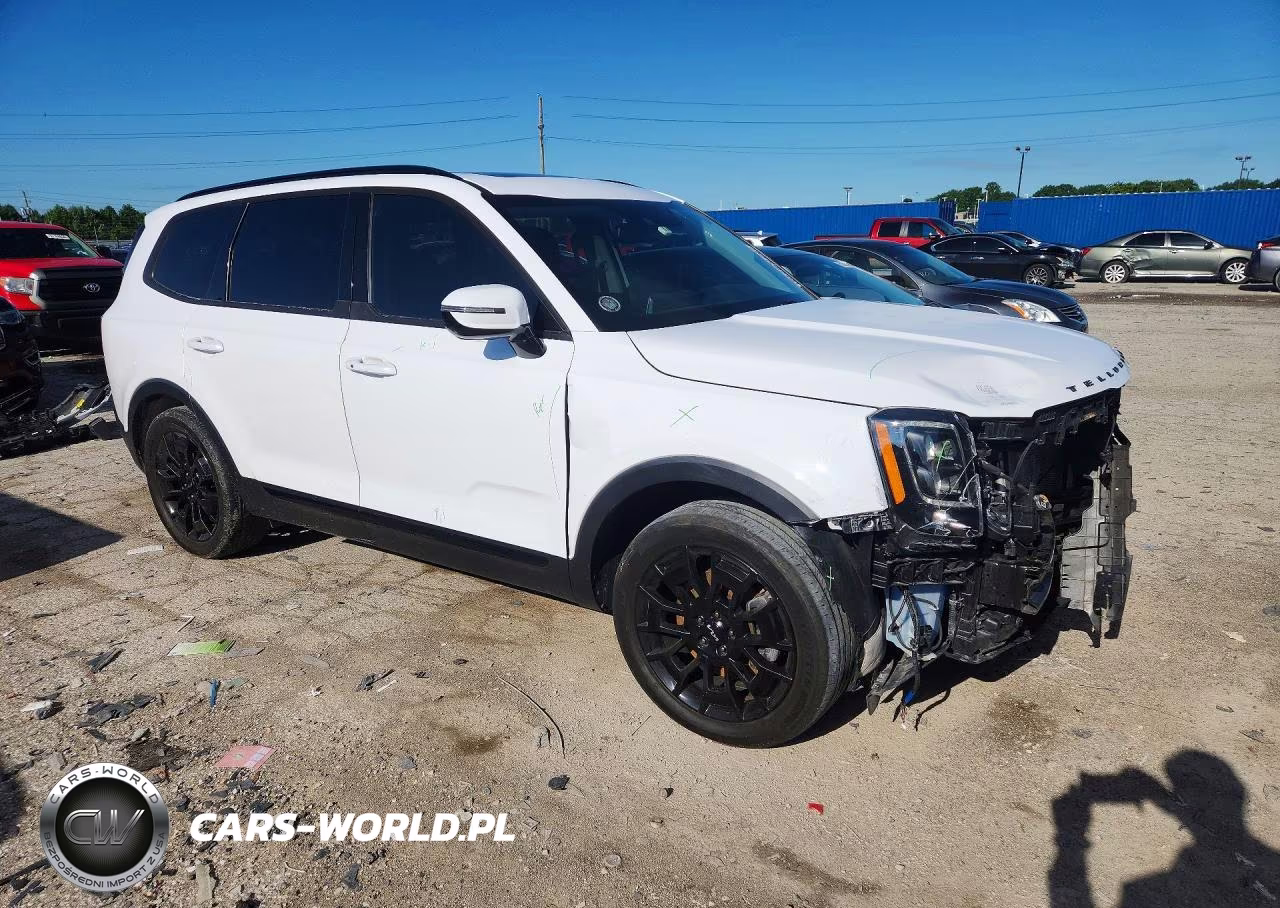 2022 Kia Telluride Sx VIN:5XYP5DHC1NG312027 - 4