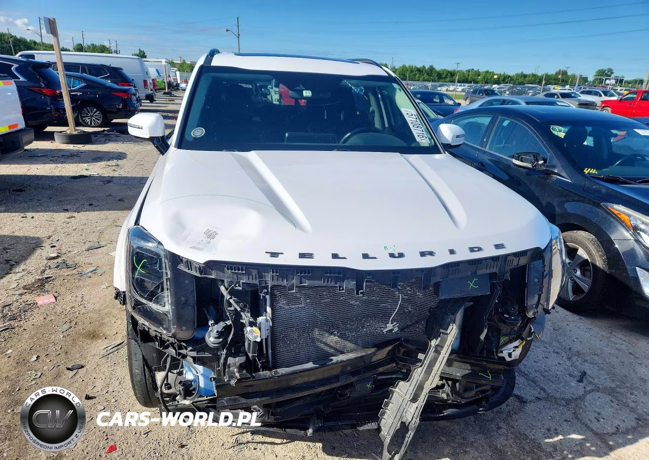 2022 Kia Telluride Sx VIN:5XYP5DHC1NG312027 - 5