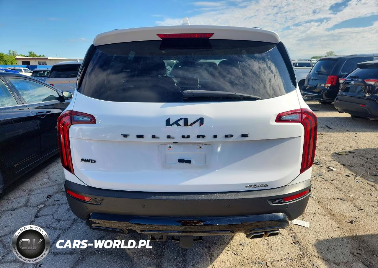 2022 Kia Telluride Sx VIN:5XYP5DHC1NG312027 - 6