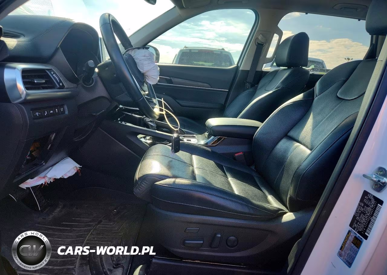 2022 Kia Telluride Sx VIN:5XYP5DHC1NG312027 - 7