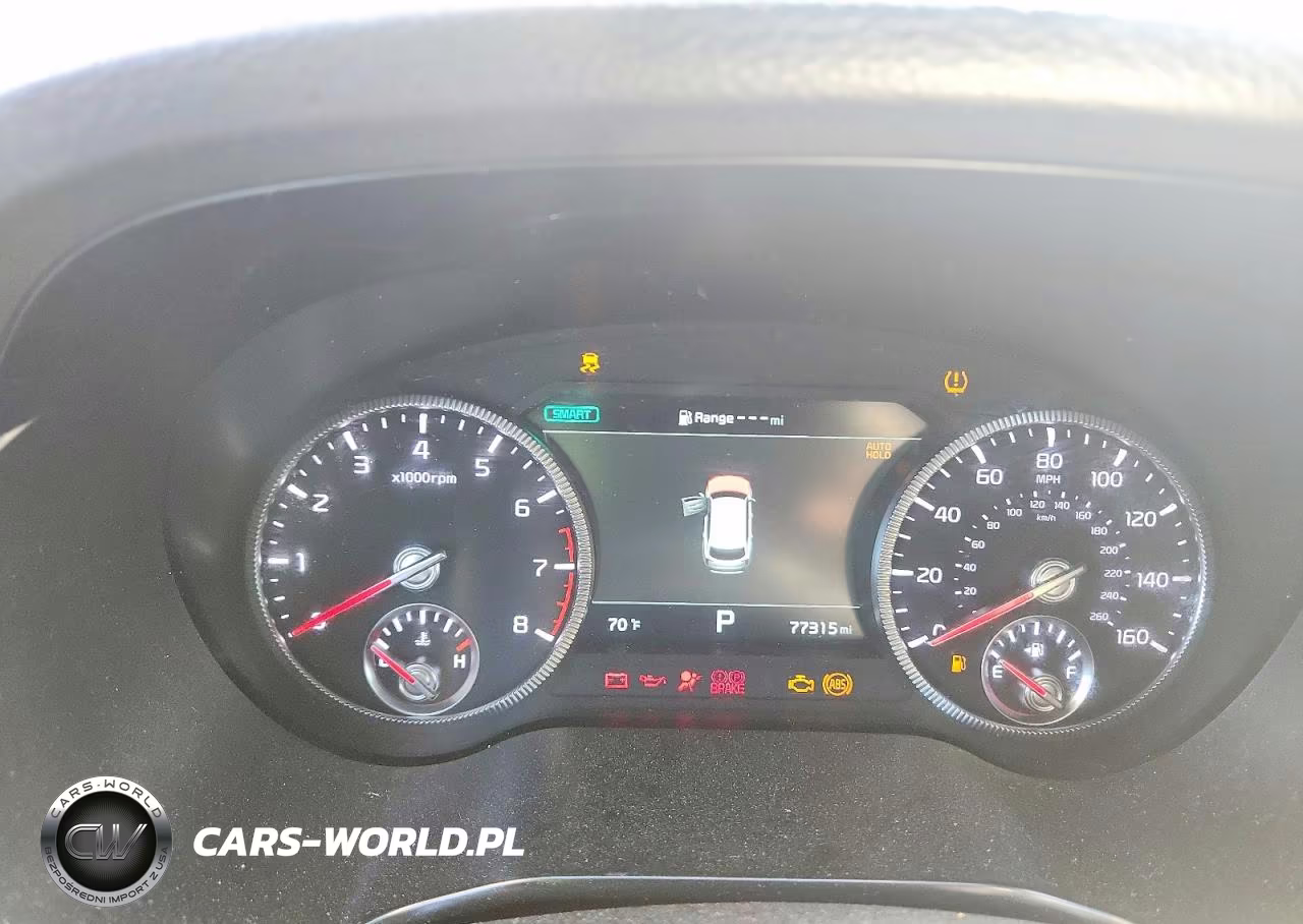 2022 Kia Telluride Sx VIN:5XYP5DHC1NG312027 - 9