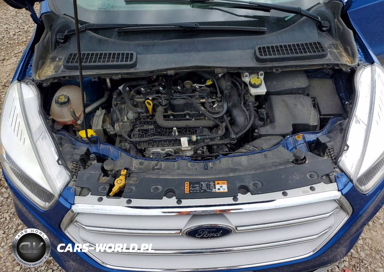 2019 Ford Escape Se VIN:1FMCU9GD8KUA08823 - 12