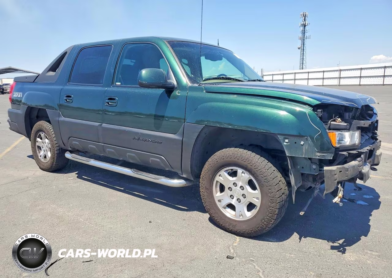 2002 Chevrolet Avalanche K1500 VIN:3GNEK13T02G111990 - 4