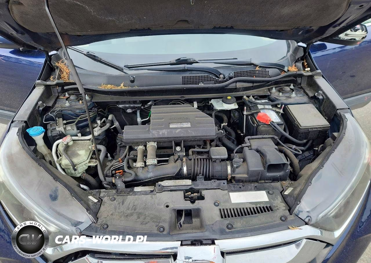2019 Honda Cr-V Ex VIN:2HKRW2H58KH630873 - 12