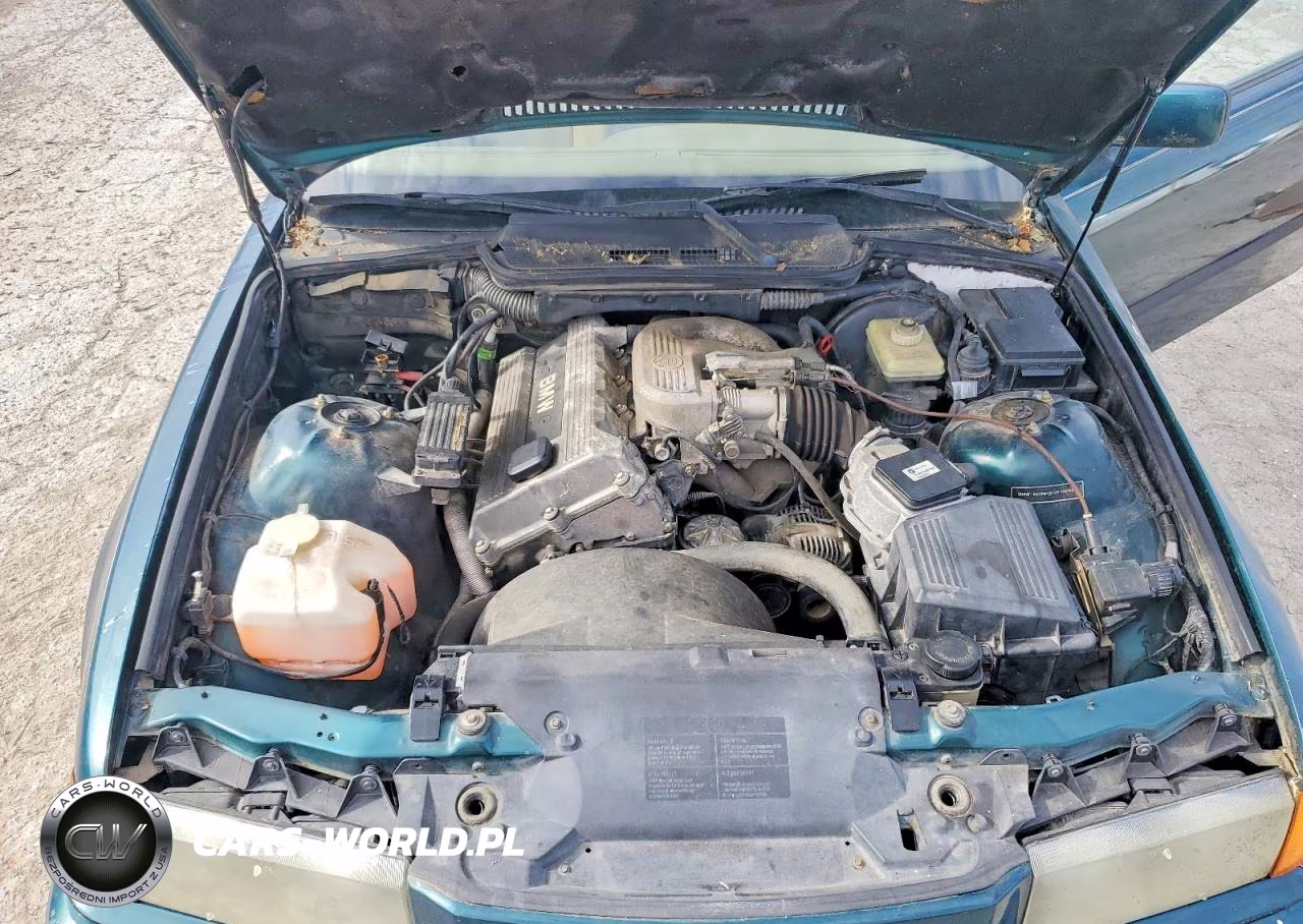 1995 BMW 318 Is VIN:WBABE5326SJA11456 - 11