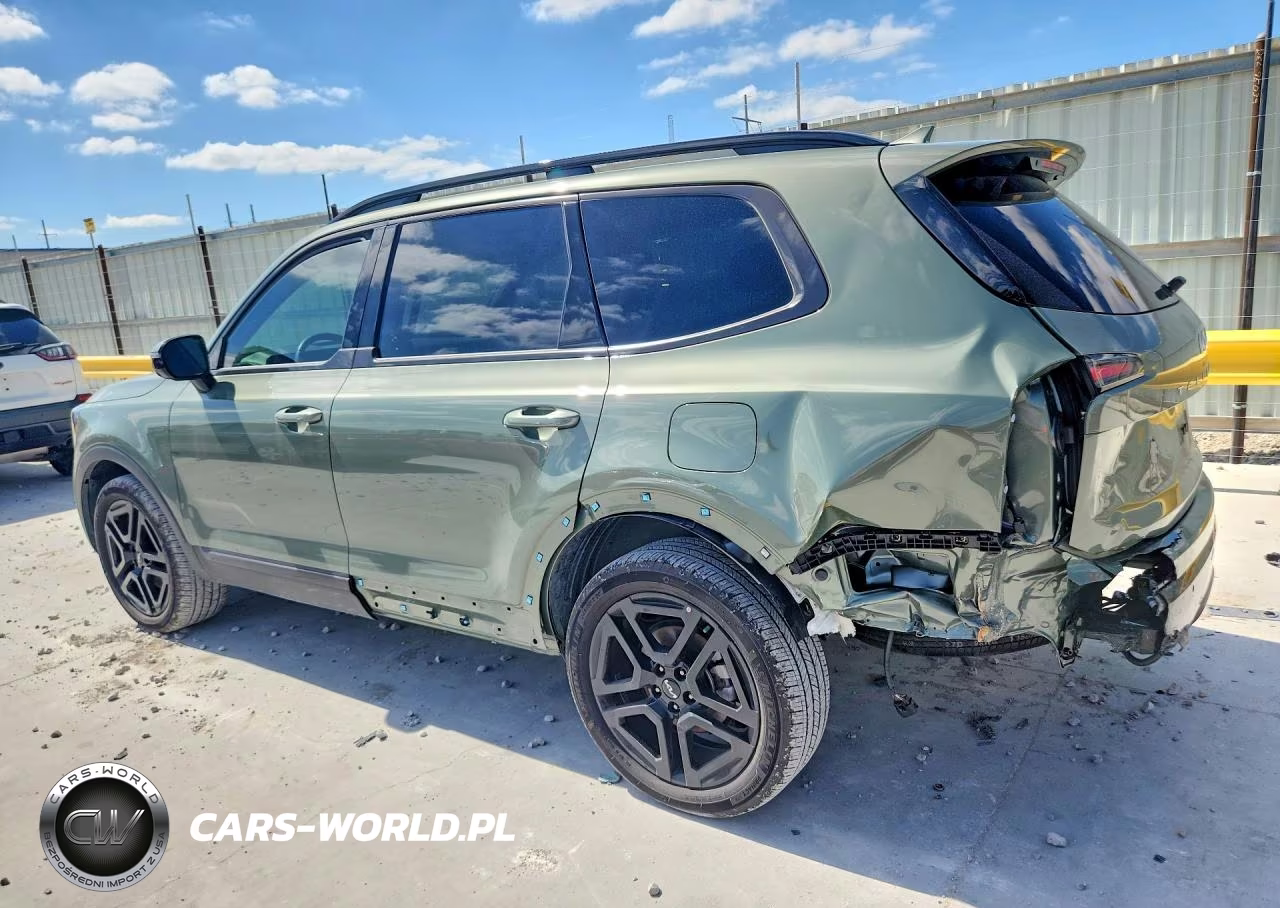 2024 Kia Telluride Sx-Prestige X-Line VIN:5XYP5DGC9RG487553 - 2