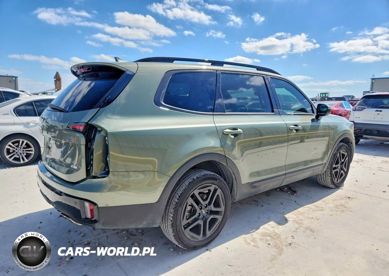 2024 Kia Telluride Sx-Prestige X-Line VIN:5XYP5DGC9RG487553 - 3