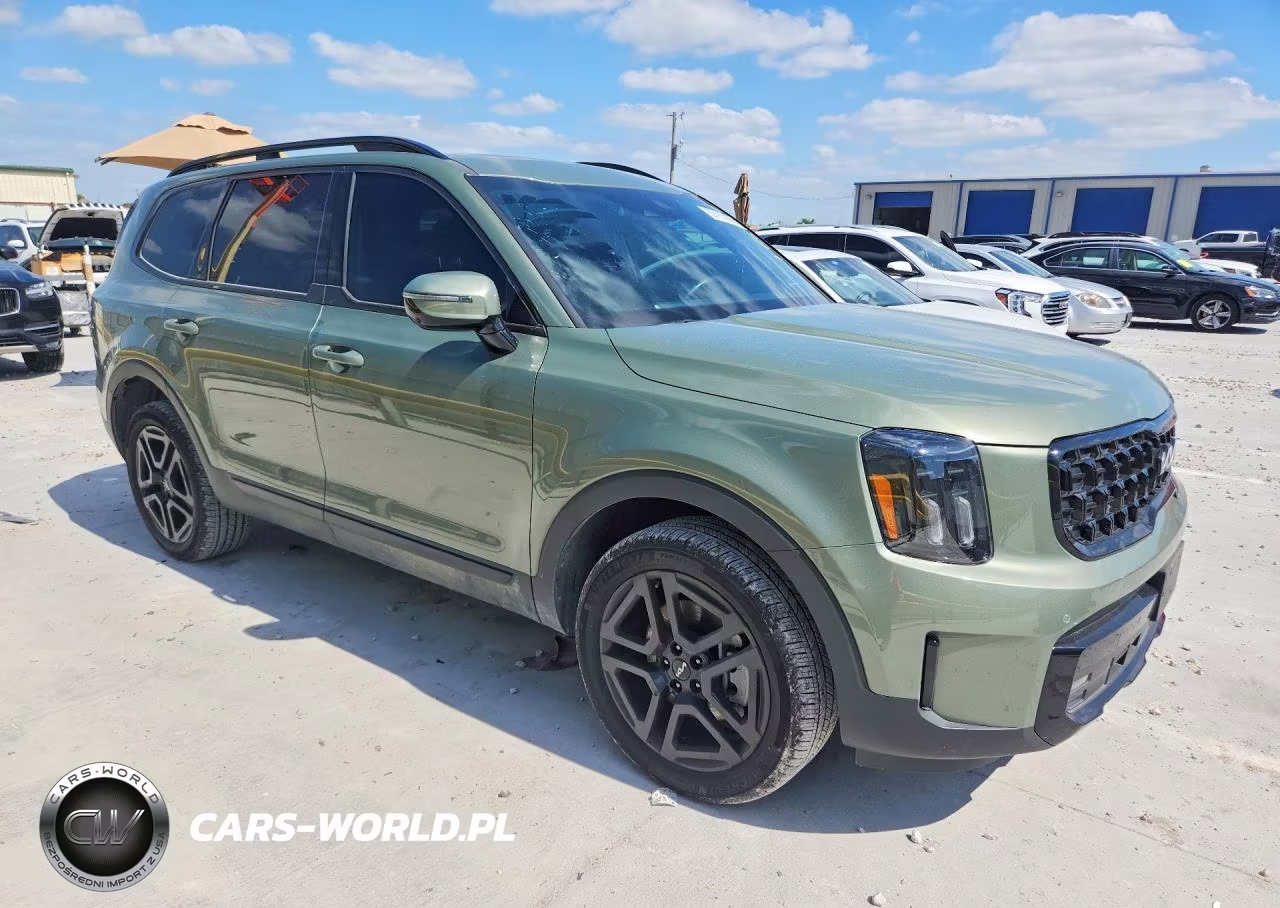 2024 Kia Telluride Sx-Prestige X-Line VIN:5XYP5DGC9RG487553 - 4